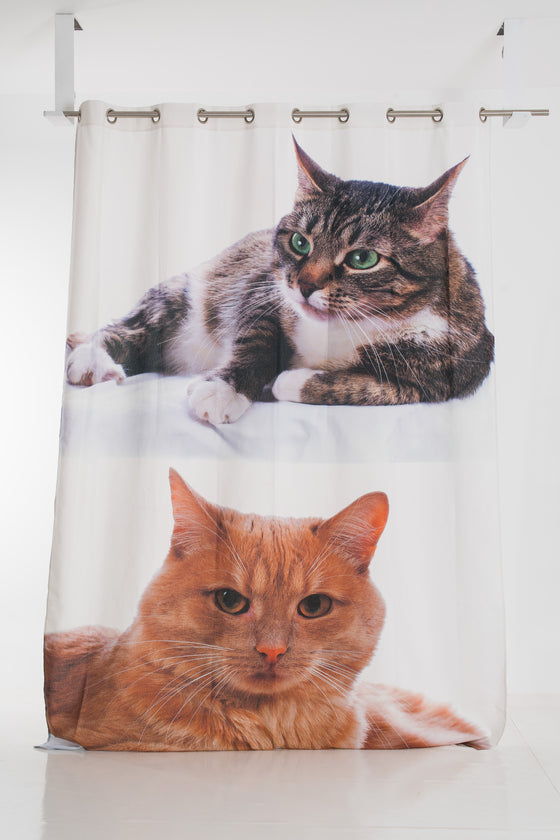 CATS CURTAIN WITH TROUX